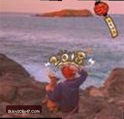 张涛